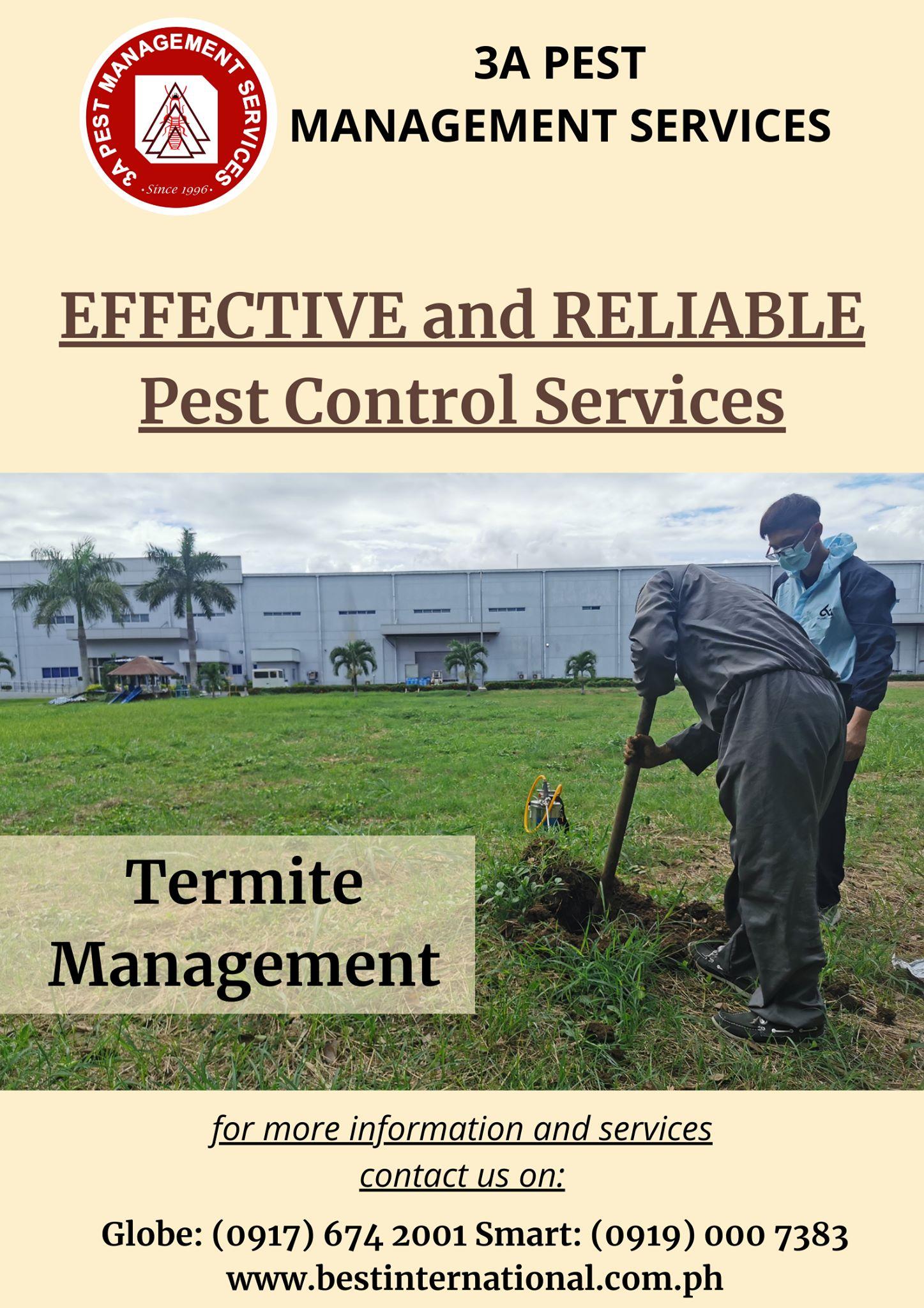 Termite Management