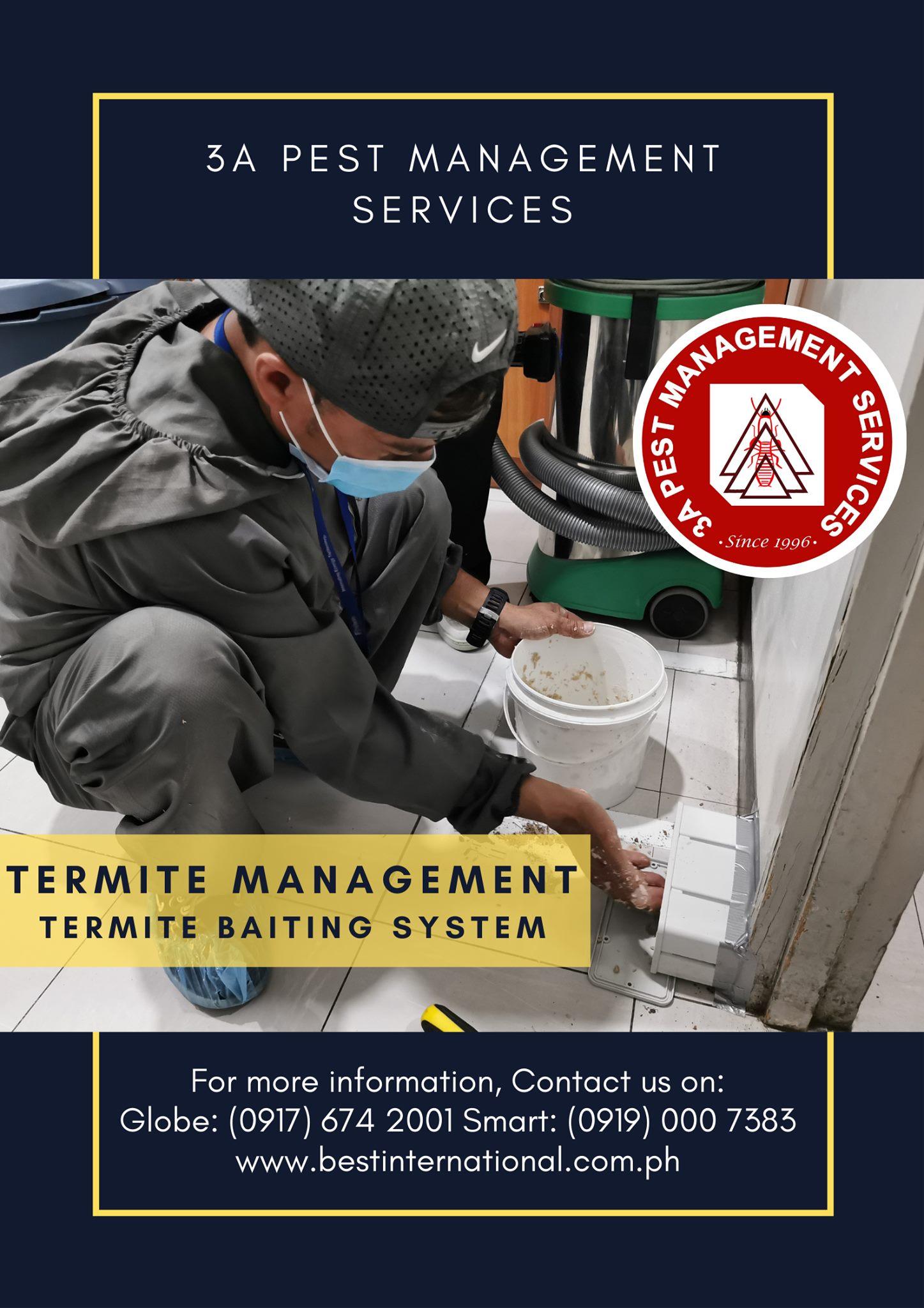 Termite Management