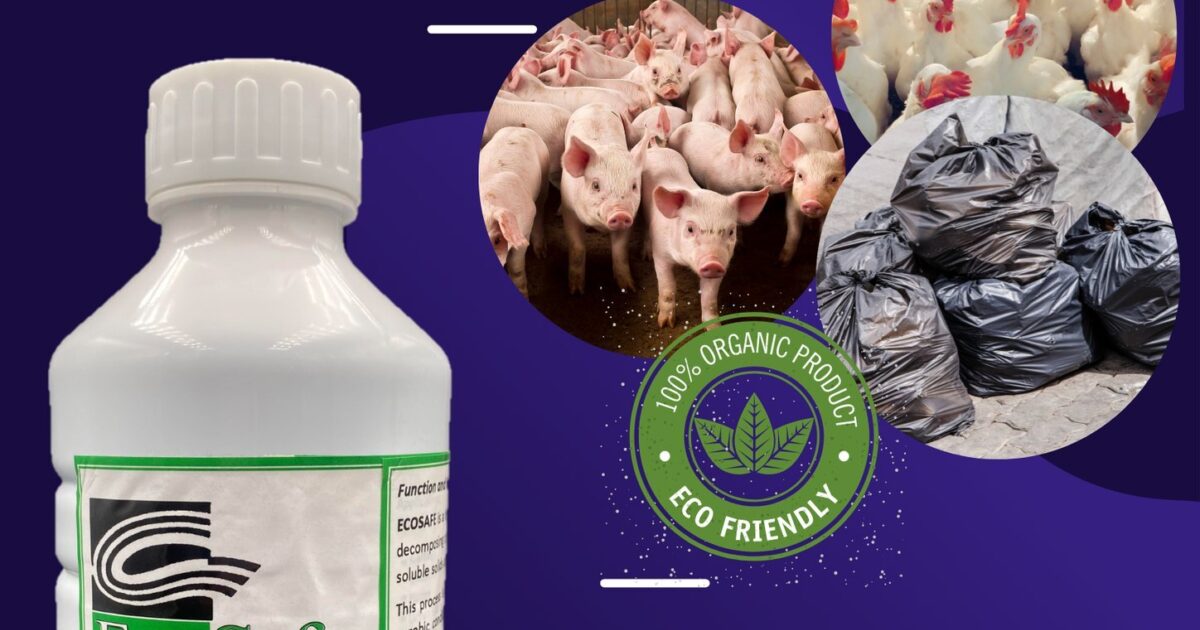 Ecosafe | BEST International